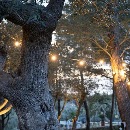 Villa Trulli Magnolia Putignano