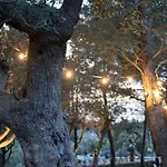 Villa Trulli Magnolia Putignano