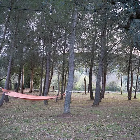 Trulli Magnolia Putignano