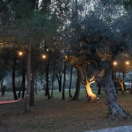 Trulli Magnolia *